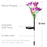 Solar lily stake lights, night view in outdoor setting
